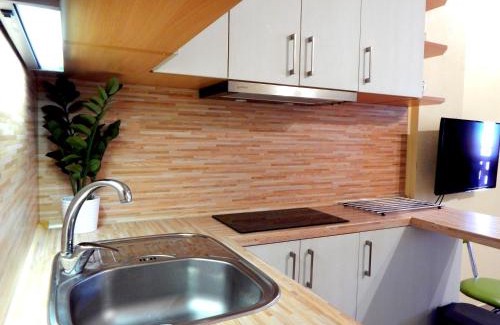Rokytnice nad Jizerou Apartment | Apartmán 466
