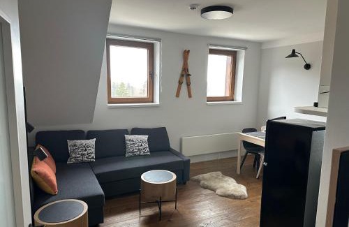 Jablonec nad Jizerou Apartment | Apartmán Bratrouchov - Krkonoše