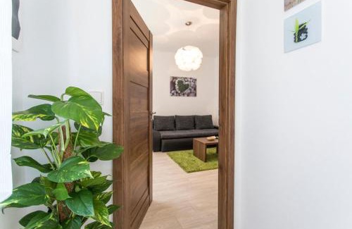 Olomouc Apartment | Apartmán Dolní náměstí