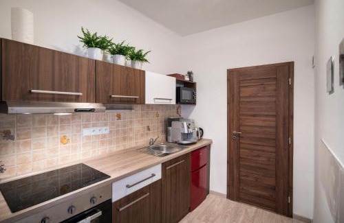 Olomouc Apartment | Apartmán Dolní náměstí