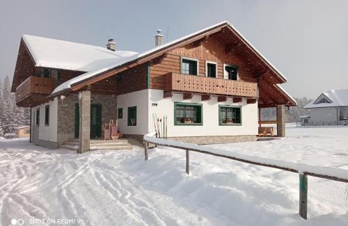 Zuberec Apartment | Apartmán Elenka