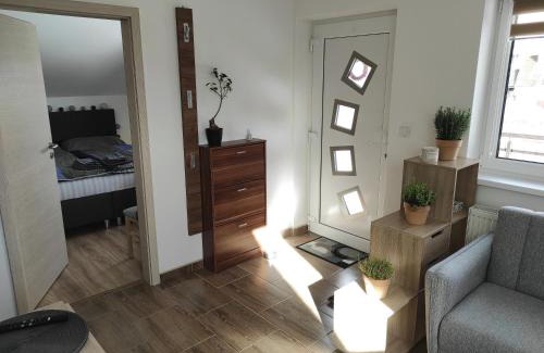 Frymburk Apartment | Apartmán Frymburk 700