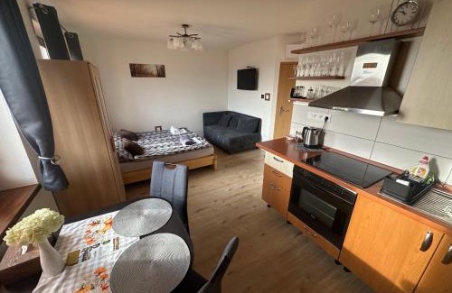 Nesvady Apartment | Apartmán LOSONCI Nesvady- pre 2 osoby štúdio