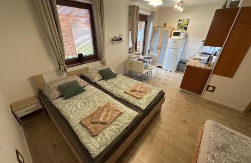 Nesvady Apartment | Apartmán LOSONCI Nesvady- pre 2 osoby štúdio