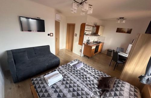 Nesvady Apartment | Apartmán LOSONCI Nesvady- pre 2 osoby štúdio