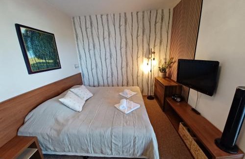 Velka Lomnica Apartment | Apartmán Mirka - Tatra Mountain Resort G104