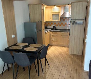 Nove Mesto na Morave Apartment | Apartmán u Arény NMnM