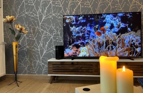 Olomouc Apartment | Apartmán U Pelikána