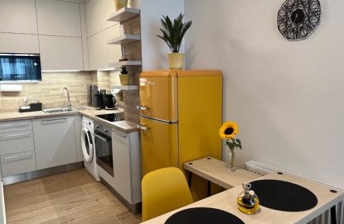 Olomouc Apartment | Apartmán U Pelikána