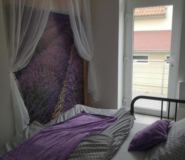 Zupanovice Apartment | Apartmán U vody