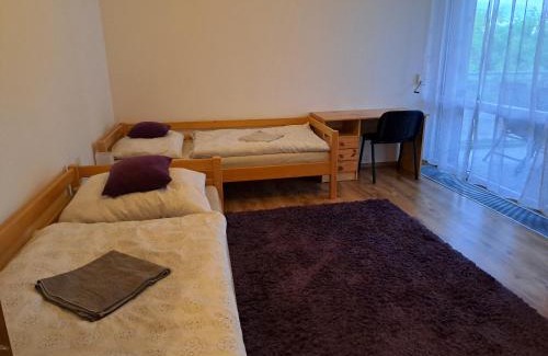 Trencin Apartment | Apartmán Zuzu