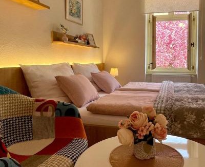 Susice Apartment | Apartmány Bašta & Wellness