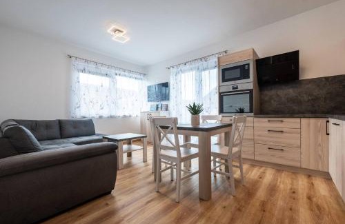 Cerna V Posumavi Apartment | Apartmány - Malé Lipno
