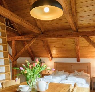 Bila Apartment | Apartmány Mezivodí