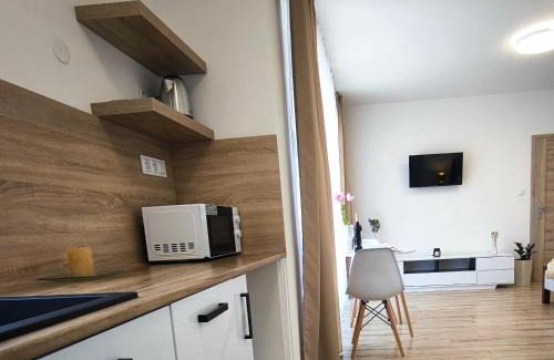 Svidnik Apartment | Apartmány Nikola