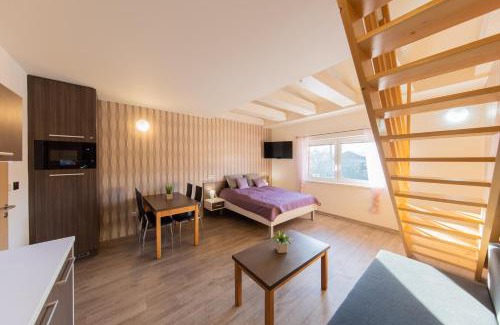 Velke Losiny Apartment | Apartmány Sophia 5 a 6