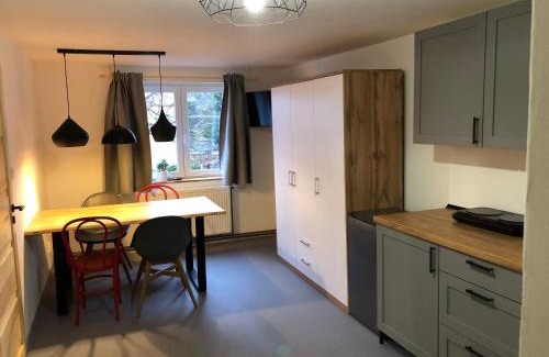 Horni Blatna Apartment | Apartmány U Medvěda