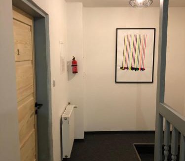 Horni Blatna Apartment | Apartmány U Medvěda