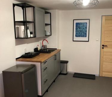 Horni Blatna Apartment | Apartmány U Medvěda