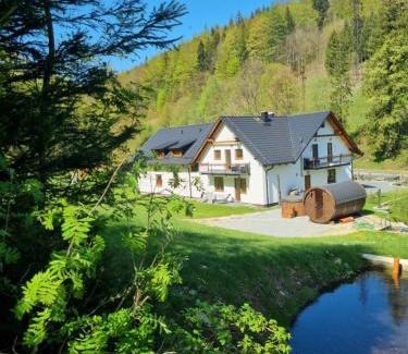 Lipova-Lazne House | Apartmány u Petra