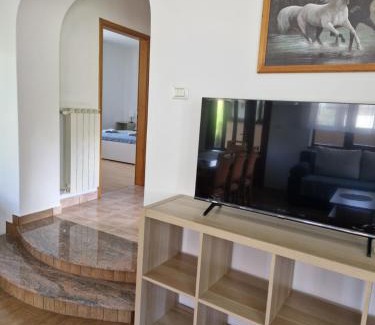 Prem Apartment | Apartma Mihatovi
