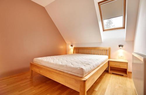 Zrece Apartment | Apartma Zoja