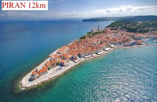 Secovlje Apartment | Apartmaji in Vinogradništvo Klobas