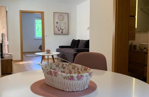 Lasko Apartment | Apartmaji Prʼ nas