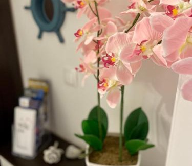 Sutivan Apartment | Apartman Dani - Sutivan
