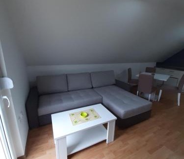 Mokra Gora Apartment | Apartman Djokovic
