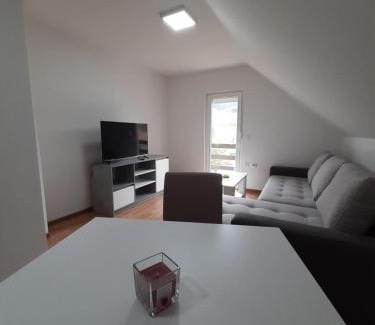 Mokra Gora Apartment | Apartman Djokovic