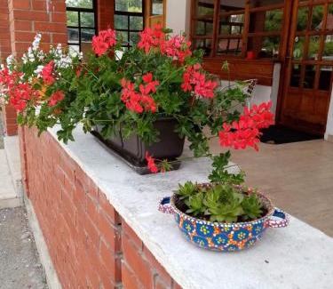 Mokra Gora Apartment | Apartman Dunja i Miloš