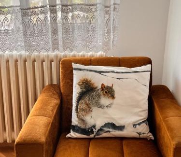 Soko Banja Apartment | Apartman Lili