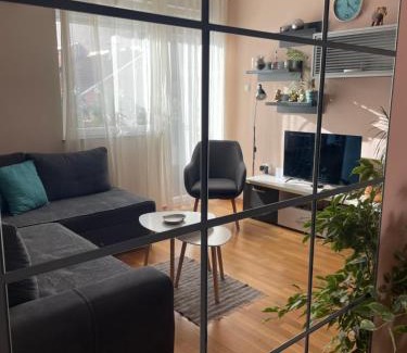 Grbavica Apartment | Apartman Oaza