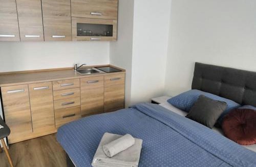 Zlicin Apartment | Apartman Praha
