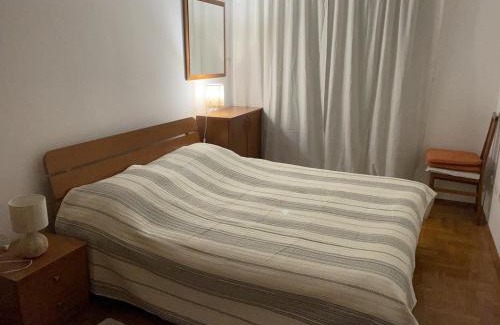 Downtown Apartment | Apartman Sasa Podgorica