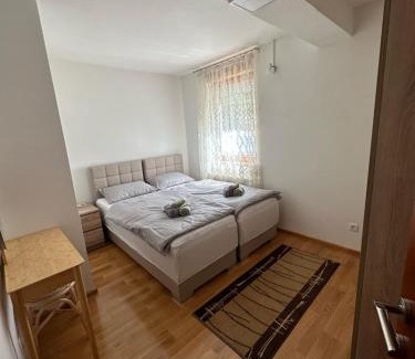Pozega Apartment | Apartman Vidić