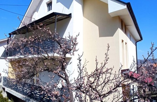 Soko Banja Apartment | Apartmani HRAST Sokobanja