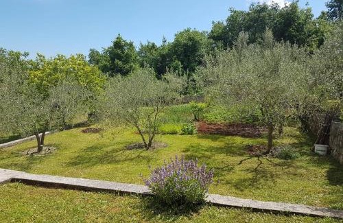 Drenje Apartment | Apartmani Mariela