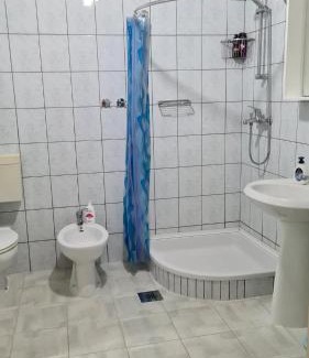 Vantacici Apartment | Apartmani Natasa