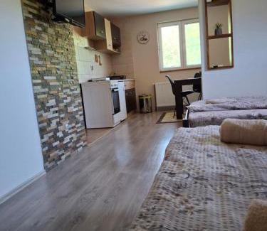 Mokra Gora Apartment | Apartmani Petar