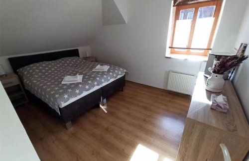 Prachatice Apartment | Apartmany U Lva