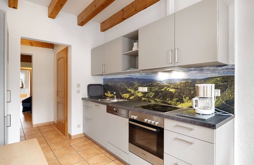 Bad Peterstal-Griesbach Apartment | Apartment '6' with Mountain View, Shared Terrace and Wi-Fi