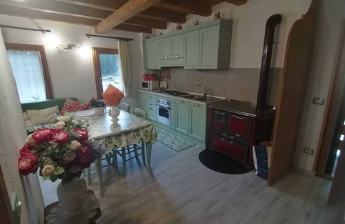 Santo Stefano di Cadore Apartment | Apartment 'Val Visdente 1' with Mountain View, Shared Garden and Wi-Fi