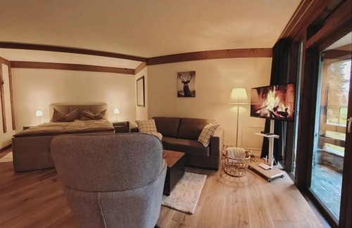Engelberg Apartment | Apartment ∙ 1 bedroom ∙ 2 guests