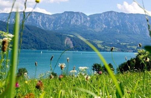 Attersee Apartment | Apartment 103 - Apartments - Heidi Leitner