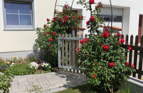 Furstenfeldbruck District Apartment | Apartment 1st floor - Weberhof