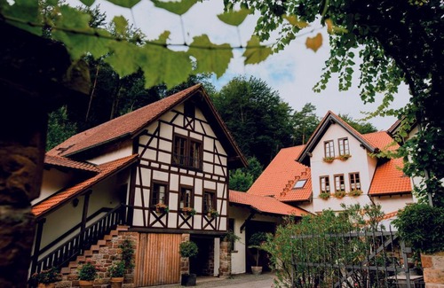Klingenmuenster Apartment | Apartment 2 - Winery-Guesthouse Porzelt