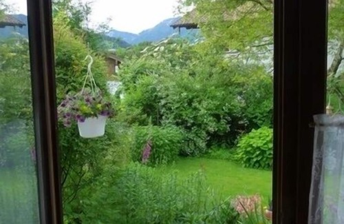 Bibelod Apartment | Apartment 30sqm, terrace, kitchen extra, 1 living/bedroom, max 2 persons