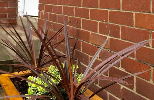 Wetherby Apartment | Apartment 61